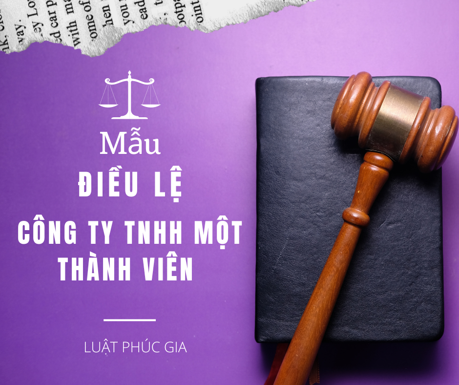 Mẫu Điều lệ Công ty TNHH một thành viên